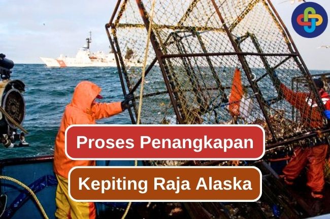 Proses Panjang Penangkapan Kepiting Raja Alaska